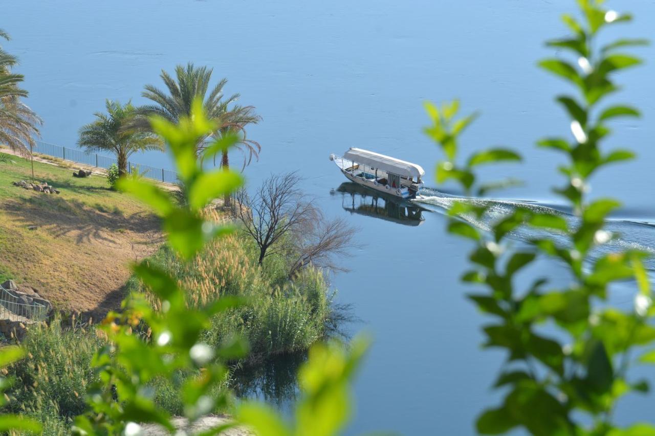Aswan Nile Palace Экстерьер фото