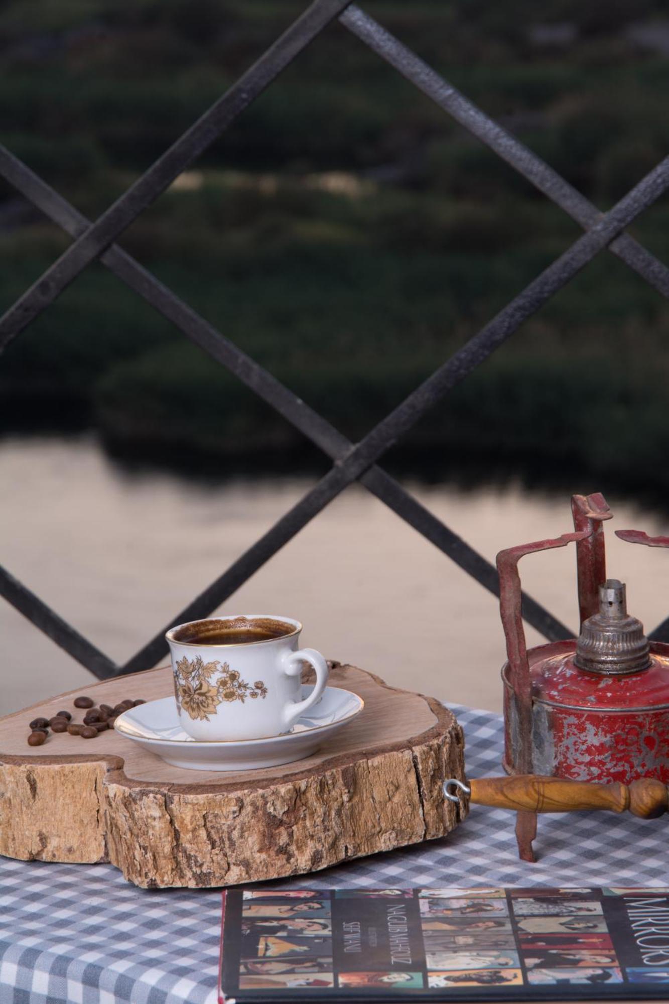 Aswan Nile Palace Экстерьер фото